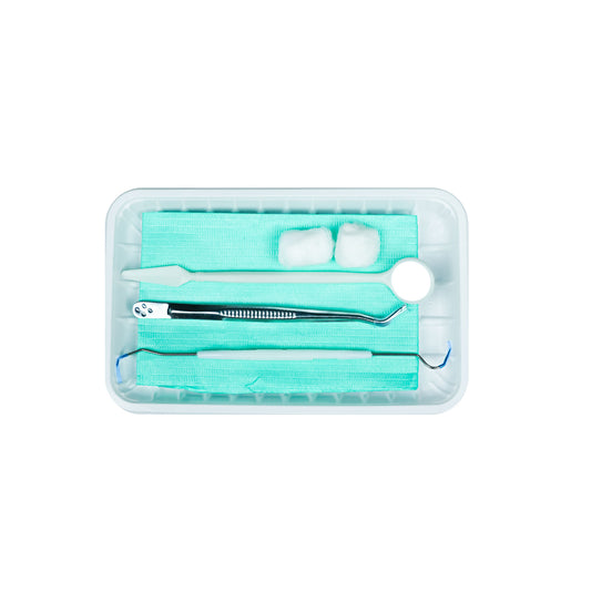 Disposable dental kit