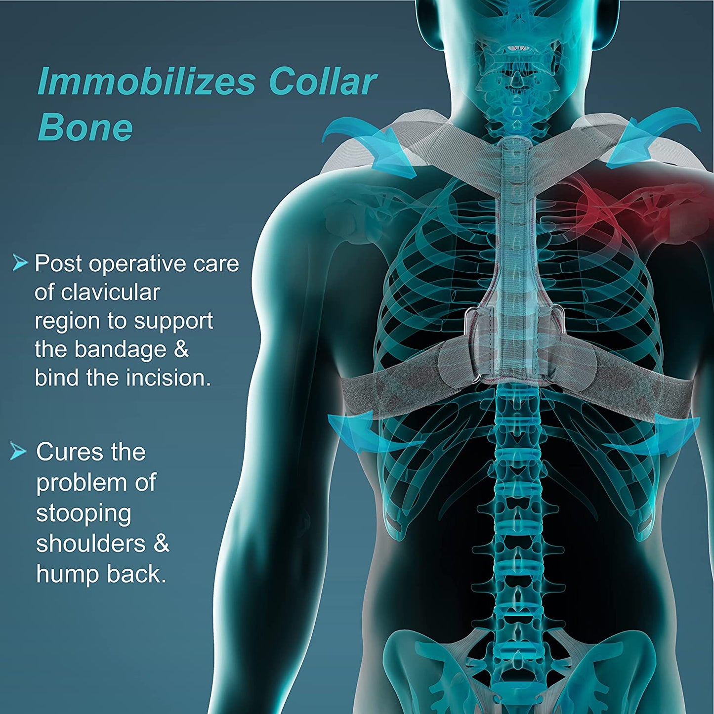 TYNOR Clavicle Brace with Velcro