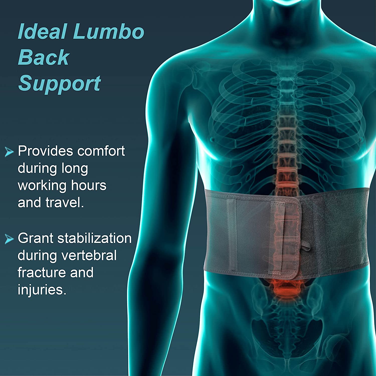 Tynor  Universal Lumbo Support